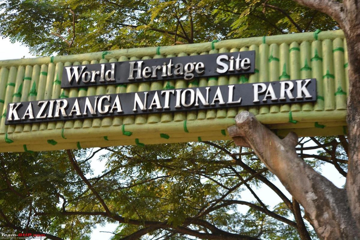 Exploring The Wilderness: Riches Of Kaziranga National Park