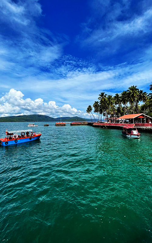 Andaman Delights: Discover Coastal Wonders and More!